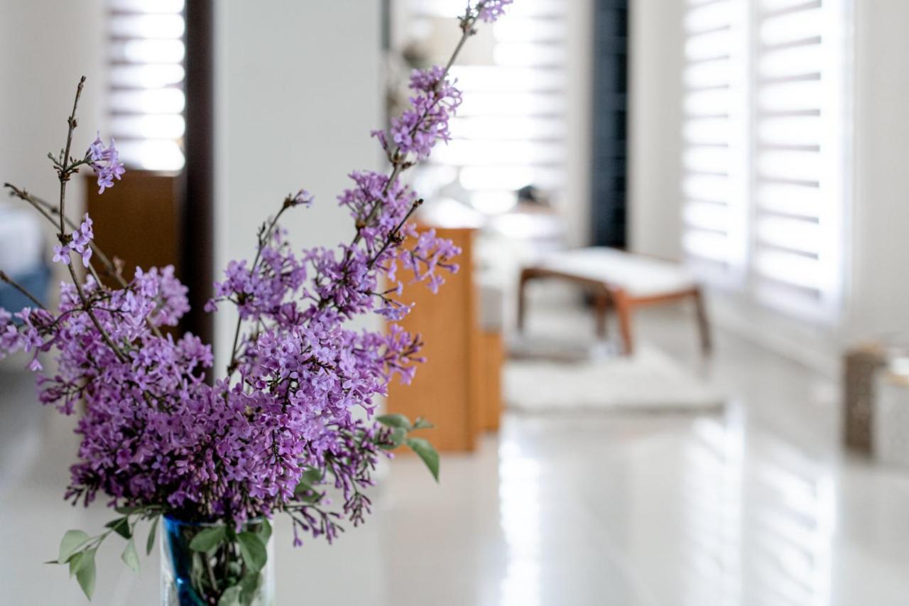 Veria Panorama Luxury Suite With Garden. エクステリア 写真