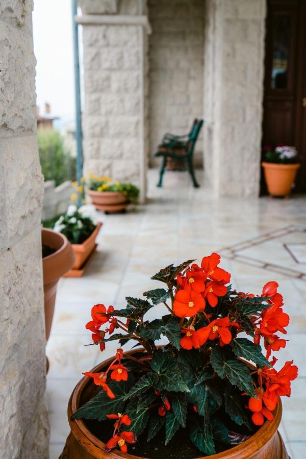 Veria Panorama Luxury Suite With Garden. エクステリア 写真